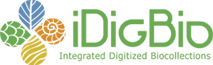 iDigBio Logo